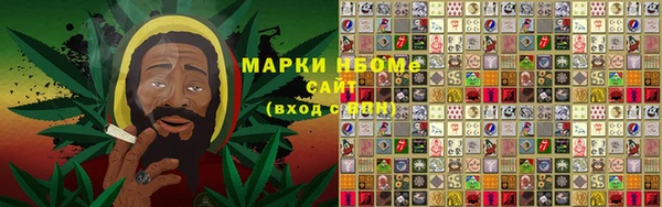 индика Белоозёрский